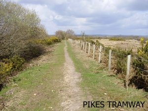 A view of Pikes Tramway